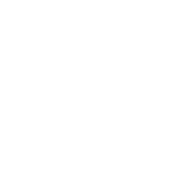 Patriots' Construction